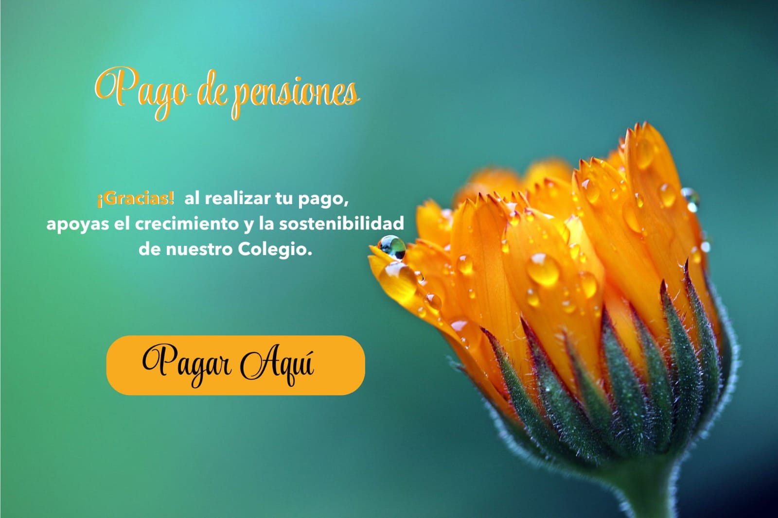 Pensiones