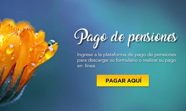 Pensiones