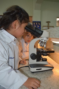 Laboratorio de Ciencias